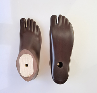 SACH Foot Brown SACH Foot Brown