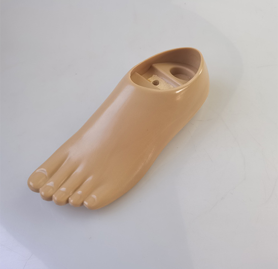 Double Axis Foot-No Split Toes