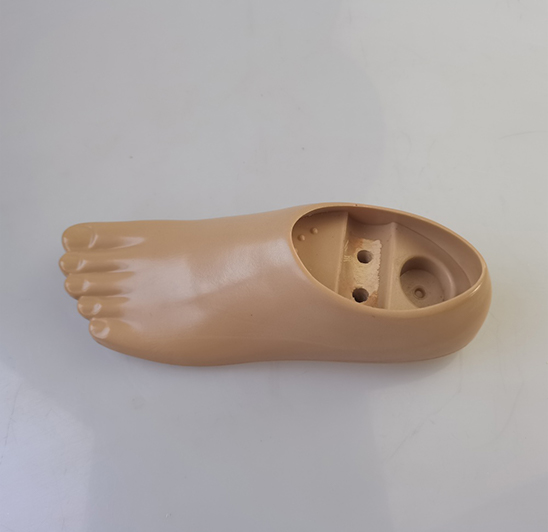 Double Axis Foot-No Split Toes