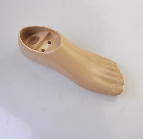 Double Axis Foot-No Split Toes