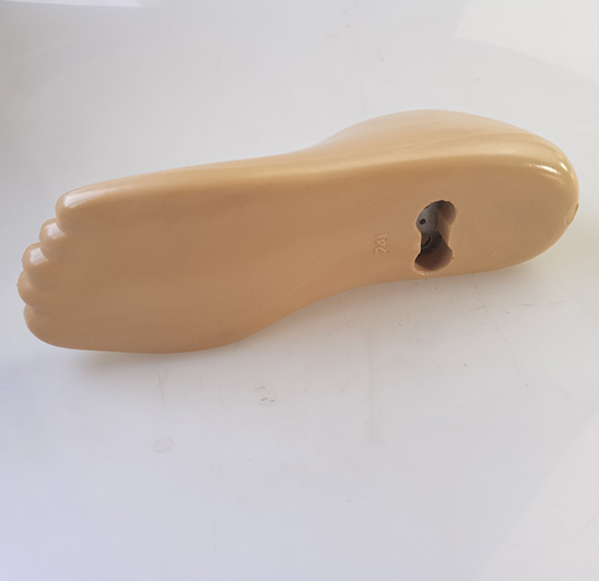 Double Axis Foot-No Split Toes